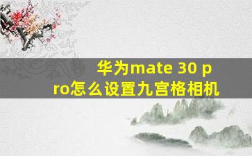 华为mate 30 pro怎么设置九宫格相机